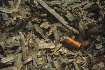 Cigarette butt on dry seaweed