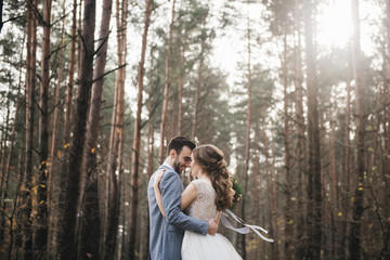 Happy bride and groom in the forest .  Autumn. The concept of a Rustic wedding style
