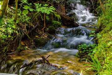Forest stream, fast water flow
