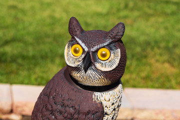 this owl has kept a close eye on the garden all summer