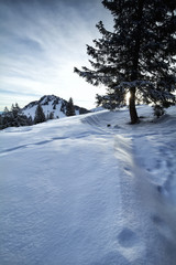 winter morning in snowy Alps