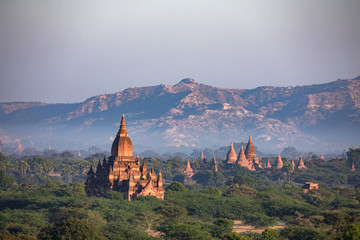Fototapeta premium Buddha temple in the sunset dawn