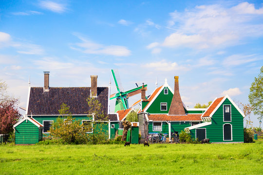 Dutch typical landscape. Traditional old dutch windmill with old houses against blue cloudy sky in the Zaanse Schans village, Netherlands. Famous tourism place. Sheep grazing on green grass.