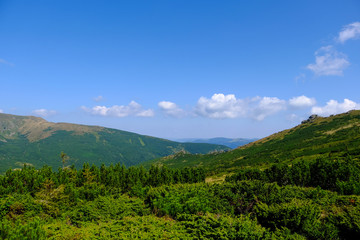 beautiful mountain landscape, Mount Vuhaty Kamen, summer Carpathians