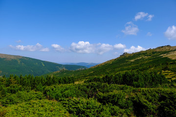 Obraz premium beautiful mountain landscape, Mount Vuhaty Kamen, summer Carpathians