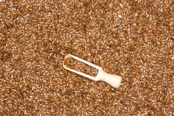 Fresh brown flaxseeds isolated