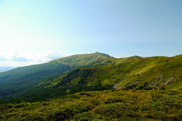 Naklejka premium beautiful mountain landscape, Mount Pop Ivan Chernogorskiy, summer Carpathians
