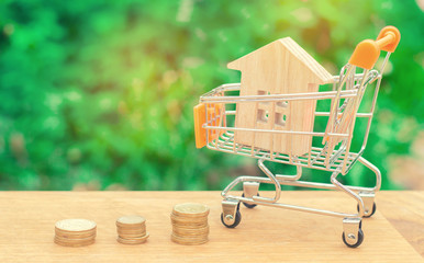 Wooden house in a Supermarket trolley. Property investment and house mortgage financial concept....