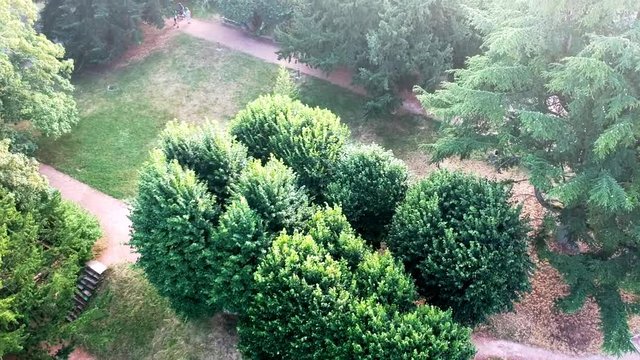 Flying over small park in France, Cluny