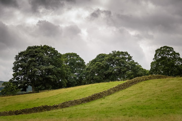 Authentic English landscape green and with limestone wall