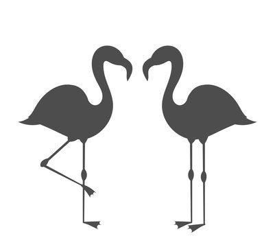Couple of flamingos silhouettes