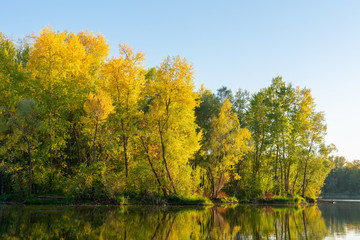 Autumn forest on the river bank.