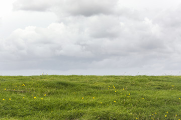 View on a Dutch landscape with an empty field or meadow with fresh green grass and an overcast grey...