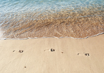 Footprint on sand at the beach. Copy space
