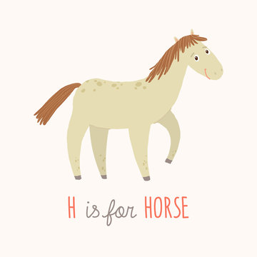 Cartoon white horse. H is for Horse. Cartoon vector hand drawn eps 10 childrens illustration isolated on white background.