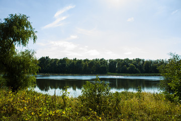 Obraz premium the reflection in the water