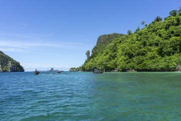 Naklejka premium Chicken island in Thailand