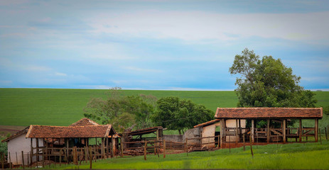 Fazenda e natureza