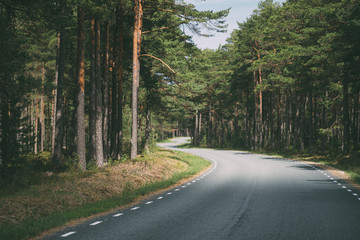 Empty winding road through scenic coniferous forest