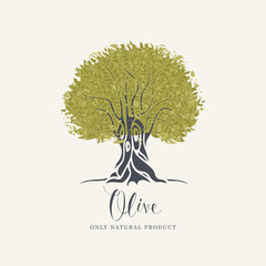 Obraz premium Vector banner or label with decorative olive tree with abstract green foliage and handwritten inscription on light background in retro style