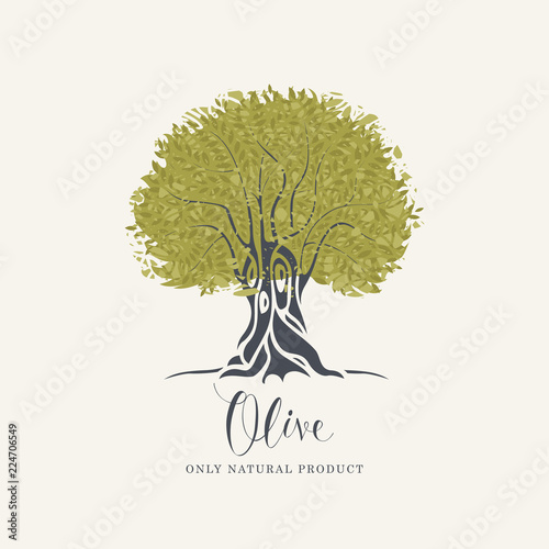 Unduh 660+ Background Abstract Olive Gratis Terbaru