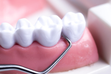 Dentist cleaning teeth