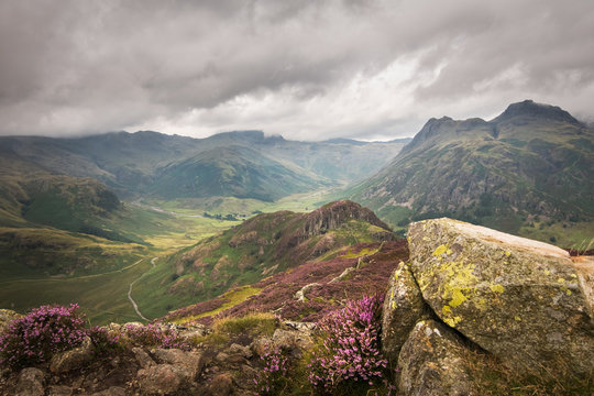 Crazy view into great and little langdale with heather hillside and cloudy sky Lake district England