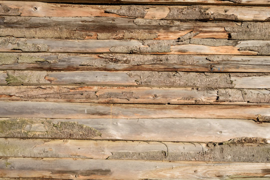 Raw wooden tree wall background