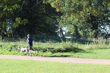 family days walking in the park
