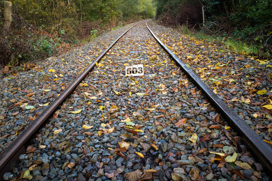 old train track railway in autumn senery with colored leafs in forest