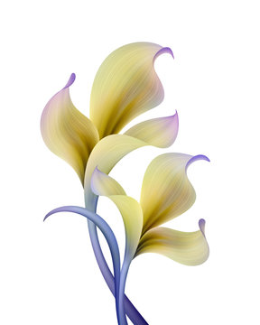 Fototapeta abstract botanical illustration, blue yellow flowers isolated on white background