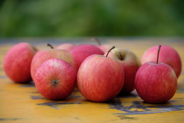 Äpfel frisch vom Baum