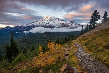 Trail leading to Mount Rainier in fall - 224711709