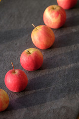 Äpfel in der Sonne