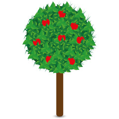 Collection of trees illustrations. Can be used to illustrate any nature or healthy lifestyle topic
