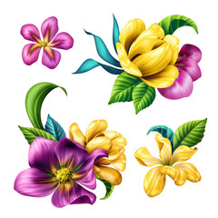 botanical illustration, beautiful tropical flowers, floral clip art, design elements set, isolated on white background