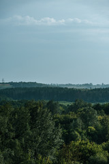 aerial view of green forest and sky in autumn