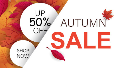 Autumn 50% off sale booklet with leaves. Shop now poster.