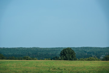 Fototapeta na wymiar green field, forest and clear sky in autumn