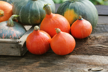Autumn pumpkin Thanksgiving background concept . Orange and green pumpkins in wooden box on rustic table