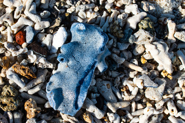 バリ島の海岸の石