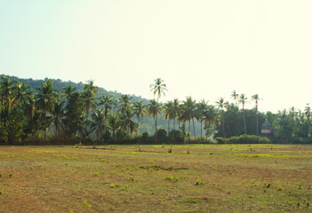 Panorama view of Goa nature in India
