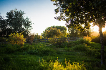 Atardecer en el campo