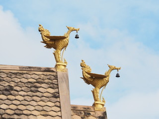 Hong is an animal in the forest Himmapan. The legend in the trilogy. That's the way it is. Forest of Himmapan Forest There are ninety thousand. And Phaya Hong Thong