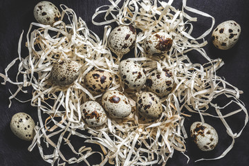 top view of raw organic quail eggs in shavings on black