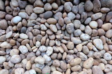 pebbles on the beach