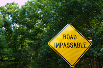 Yellow Road Impassable Street Warning Sign in Bottom Right Corner in Front of Green Forest © Kelsey