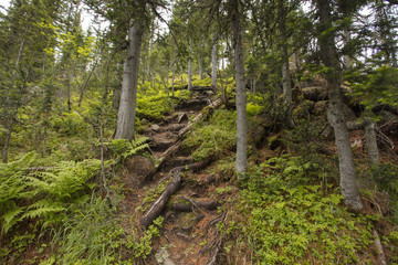 Very beautiful mountain landscape. The trip through the mountains. The Nature Of Siberia