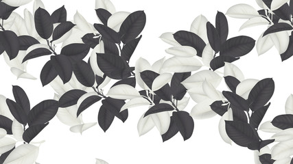 Floral seamless pattern, black and white Ficus Elastica / rubber plant on white background