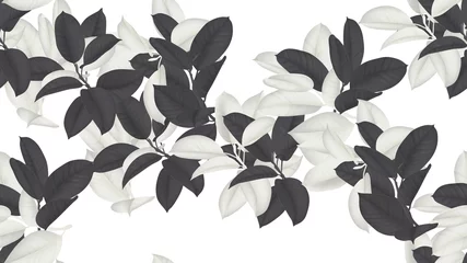 Fotobehang Floral seamless pattern, black and white Ficus Elastica / rubber plant on white background © momosama